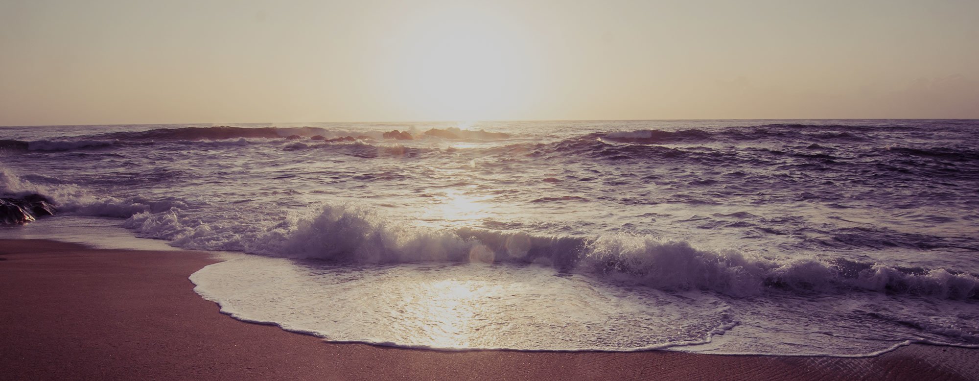 home-banner home-banner